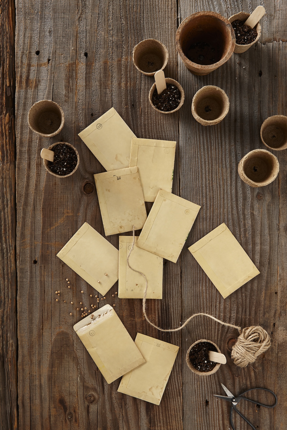 Sachets de graines et petits pots sur une table.