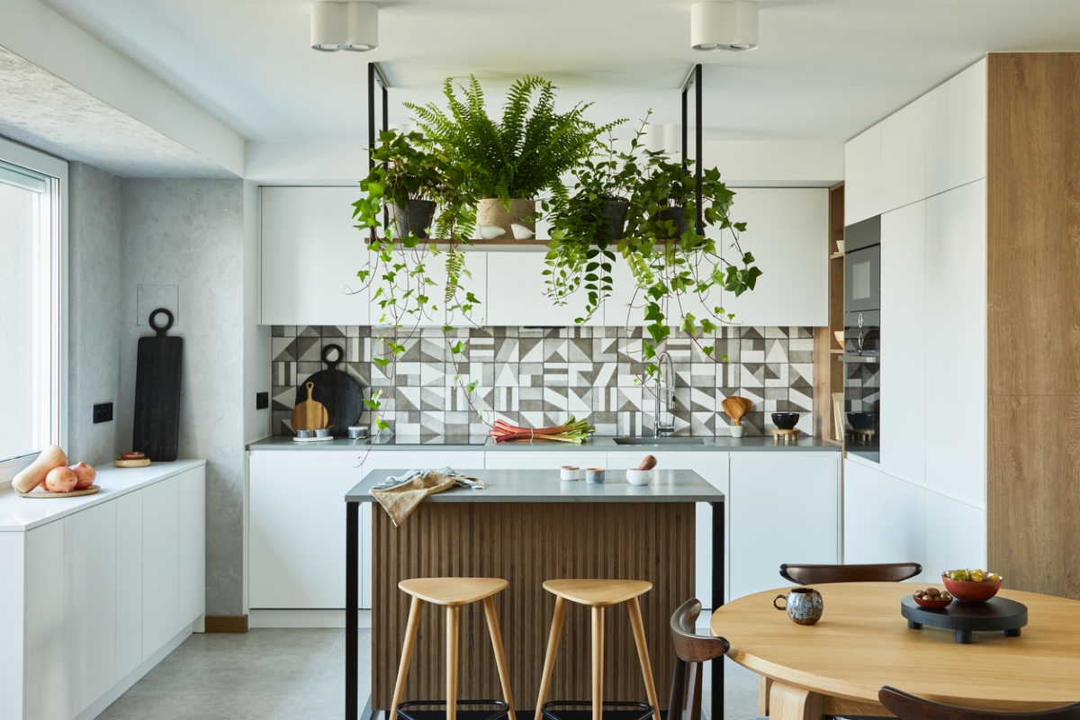 Small kitchen with plants.