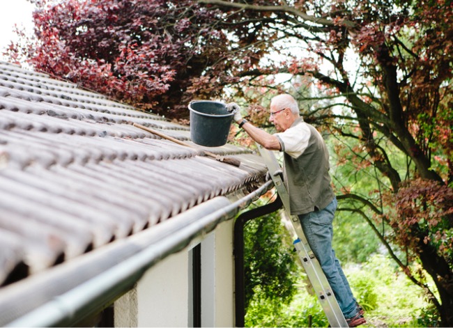 gutter cleaning ladder and bucket