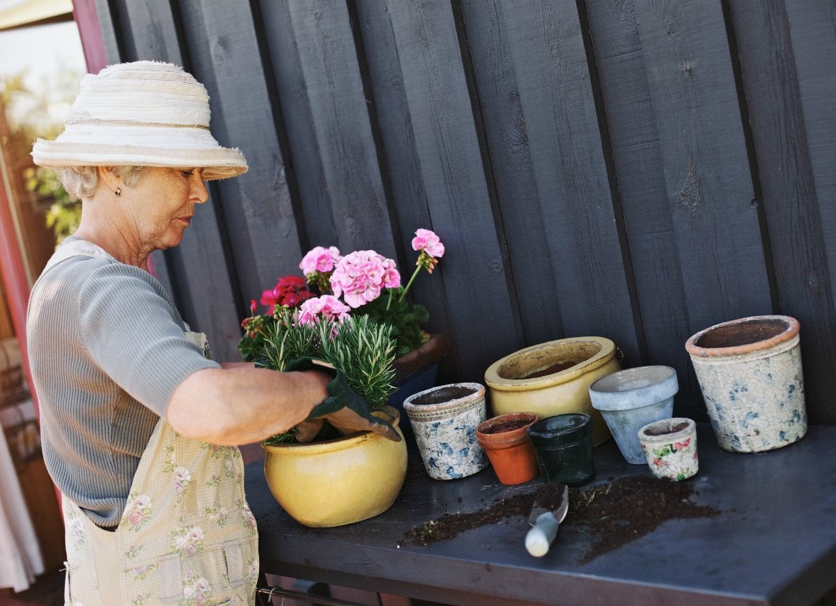 11 Age-Old Gardening Tips to Ignore Completely