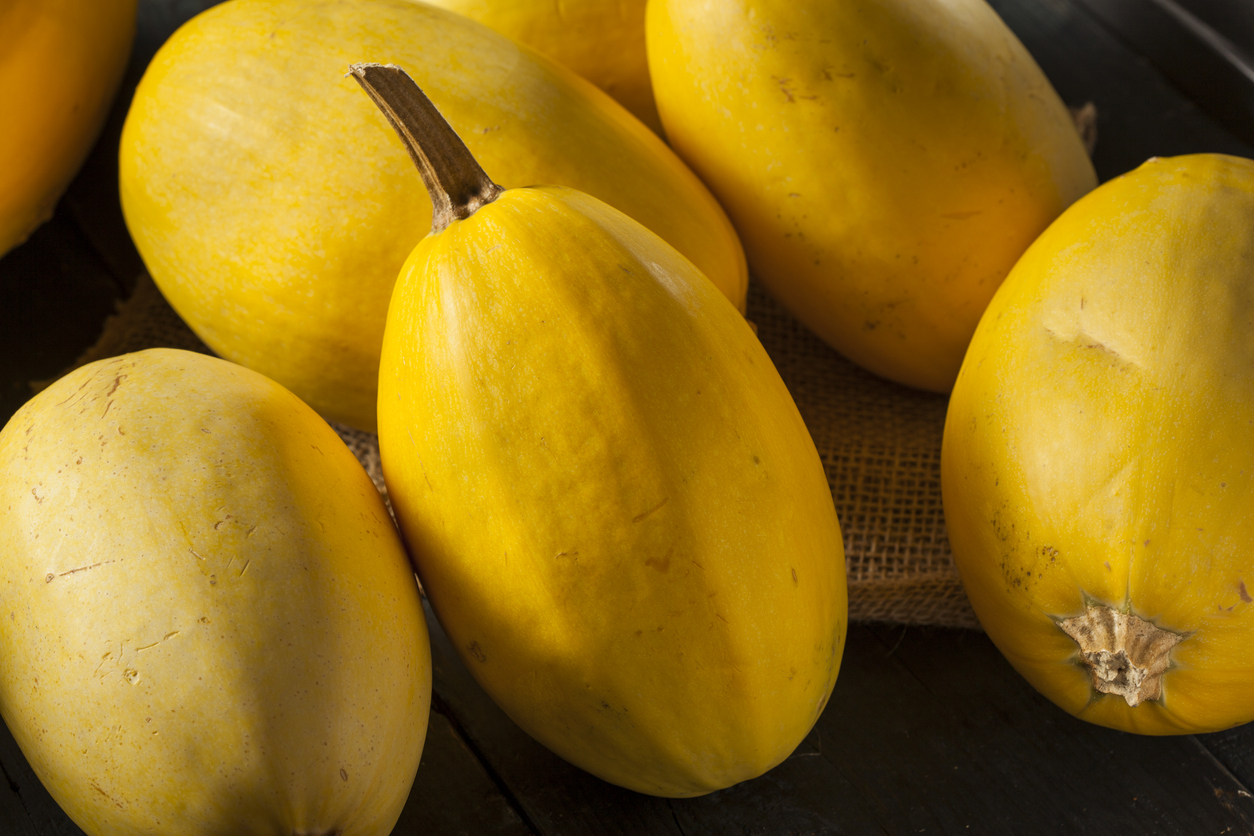 types of squash