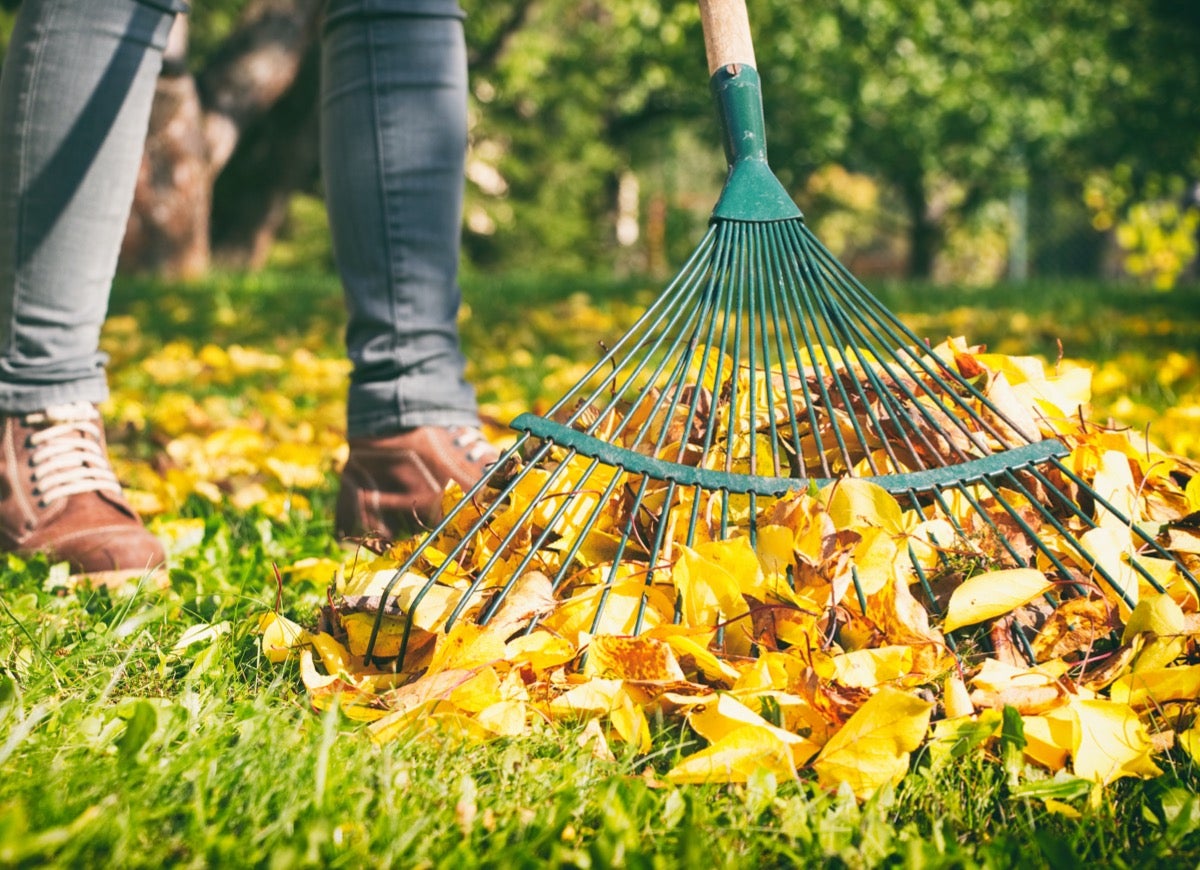 10 Tips for Successfully Selling Your House in the Fall