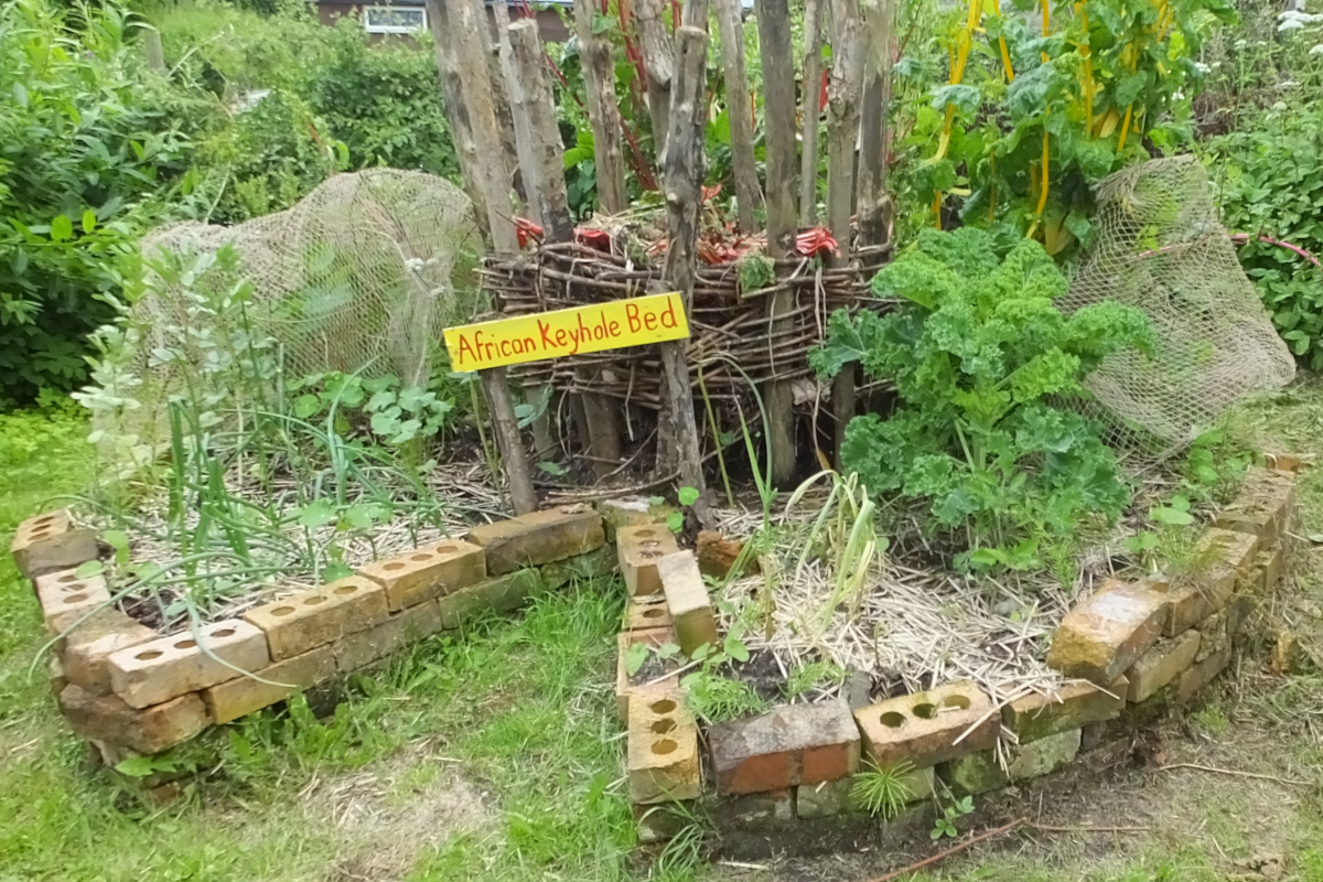 A labeled African keyhole garden bed is being used to grow leafy greens and more.