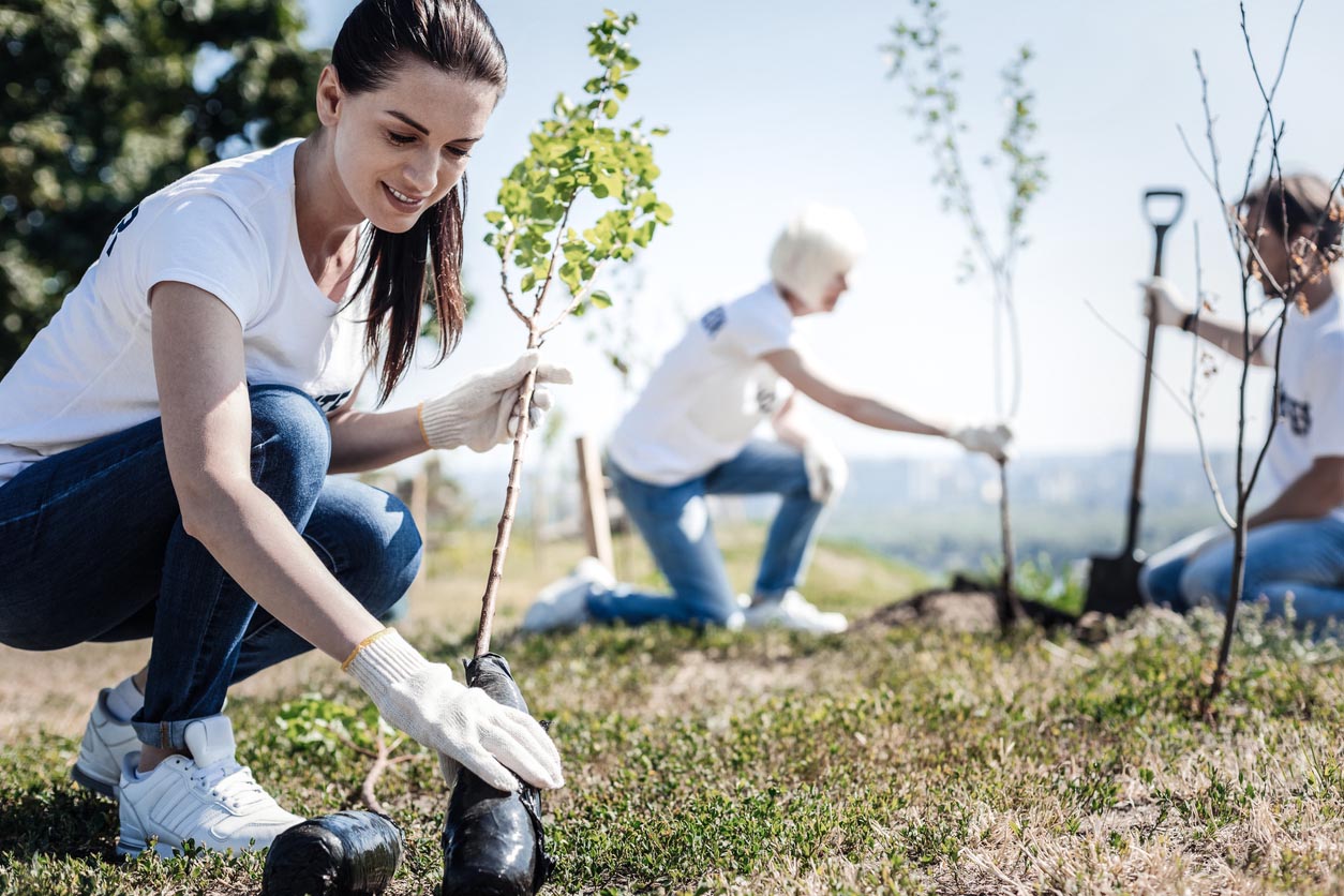 The Best Memorial Tree-Planting Services Options