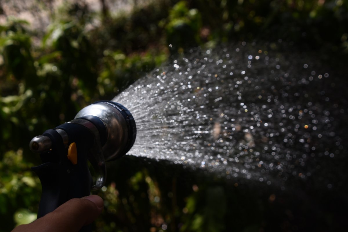 Personne utilisant un pulvérisateur pour arroser les plantes après la tombée de la nuit.