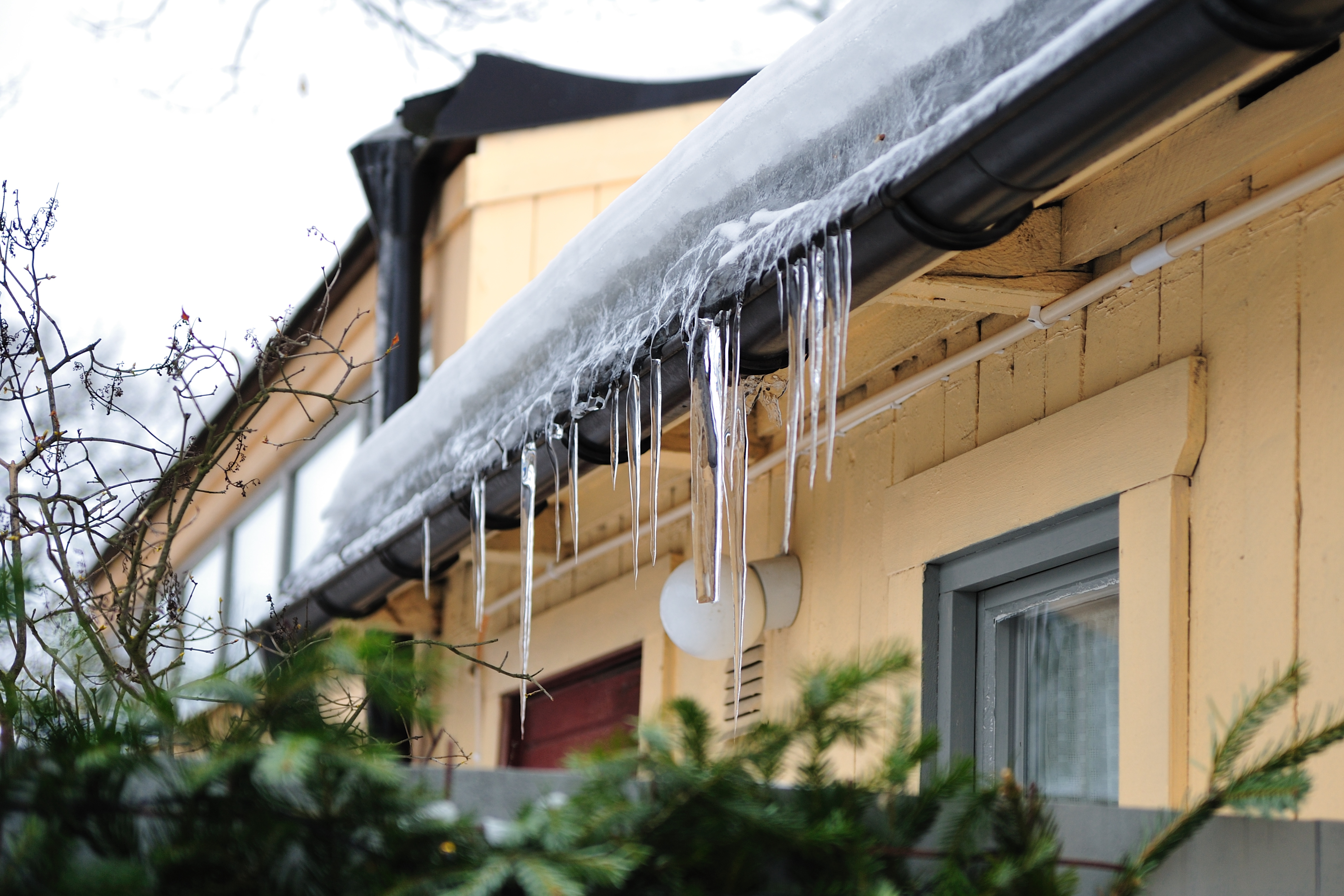 Icicles on the roof of a house.