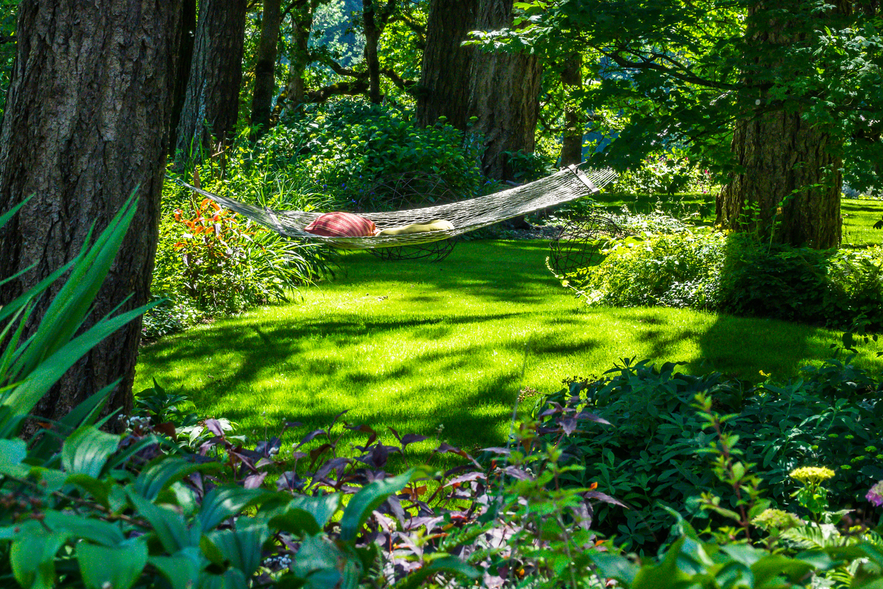 A hammock in a sunlit setting in the garden