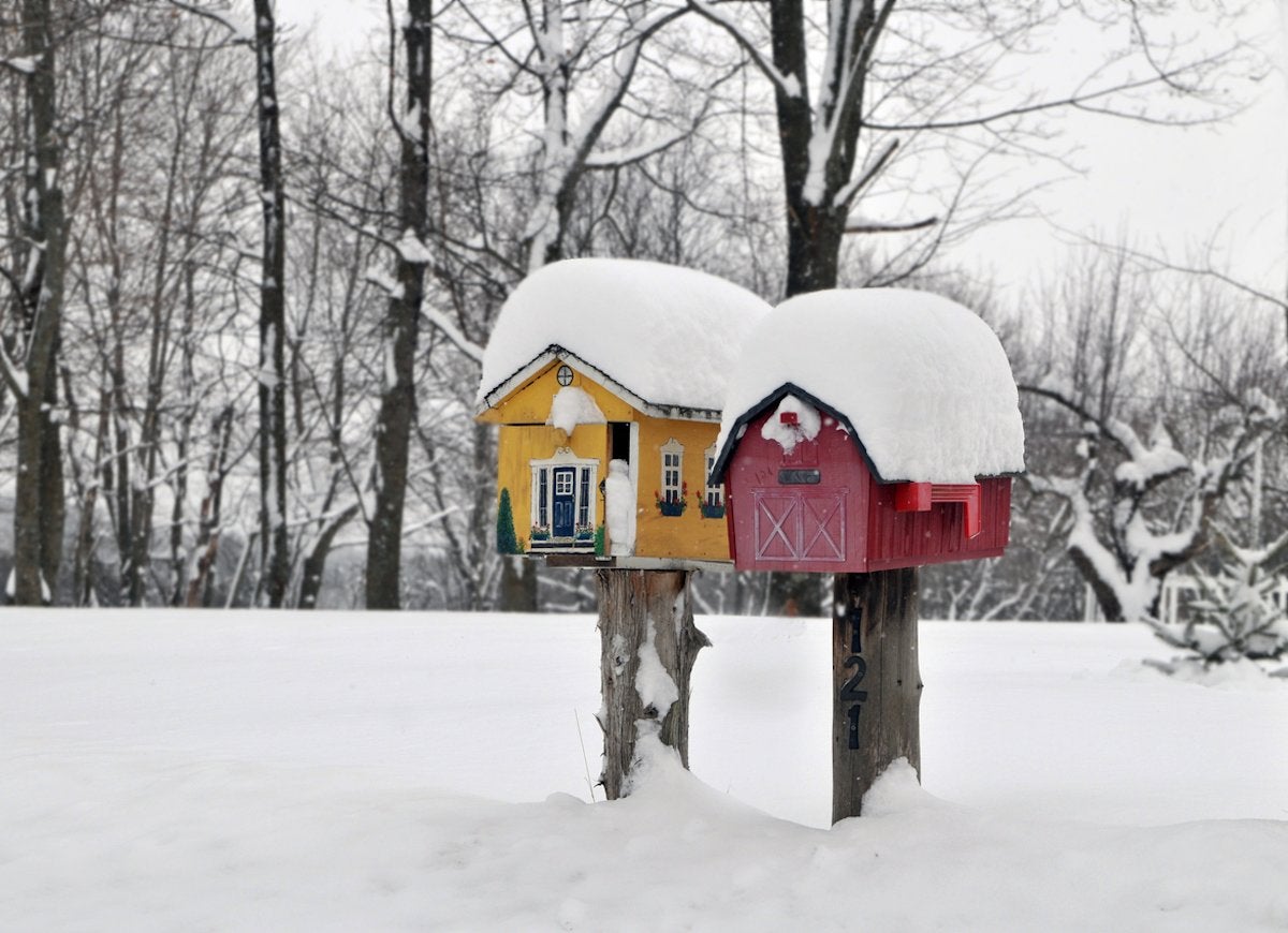 14 Things Your Mail Carrier Wishes You Knew