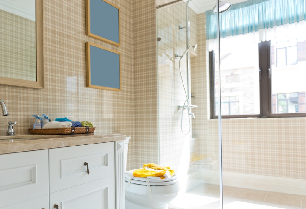 window in shower