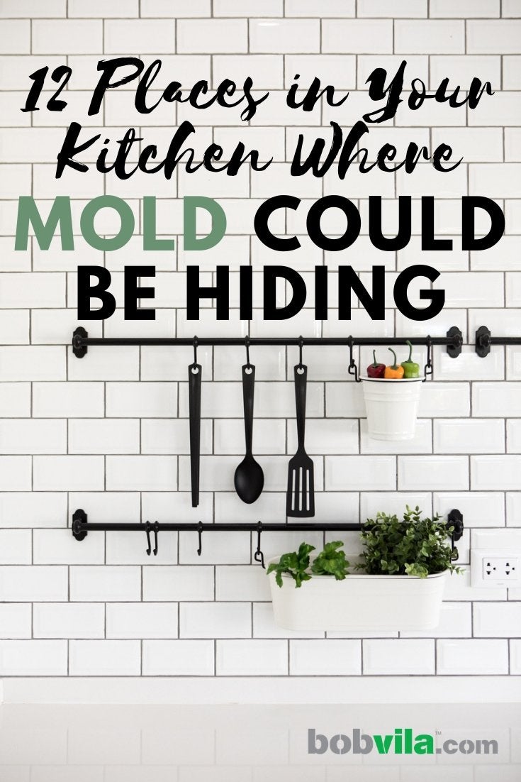 12 Places in Your Kitchen Where Mold Could Be Hiding