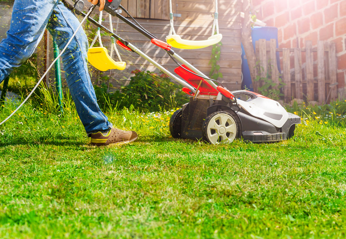 Tondre la pelouse pour sauver l'herbe morte