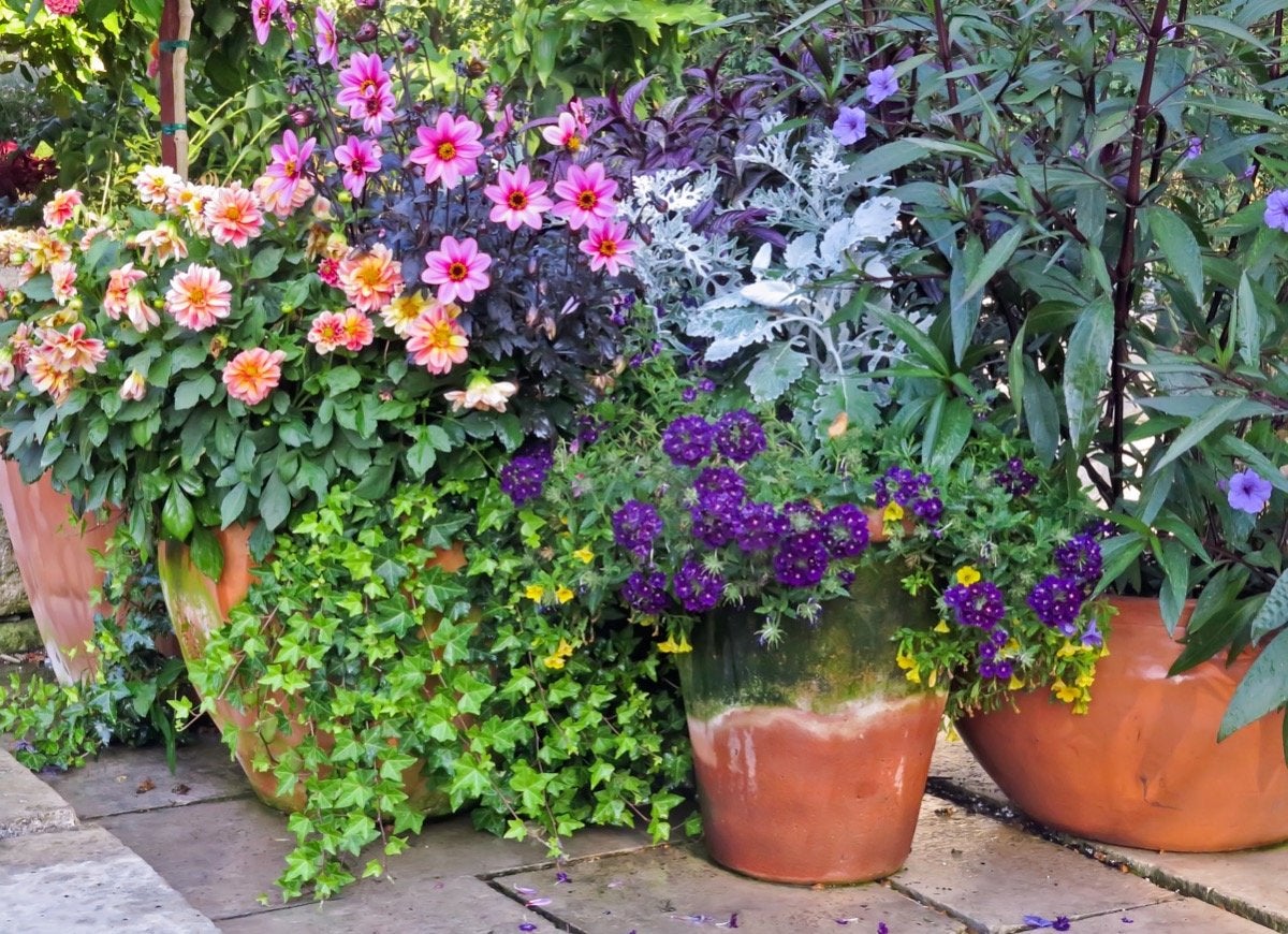 12 Landscaping Mistakes that Pros Have Made and Learned From