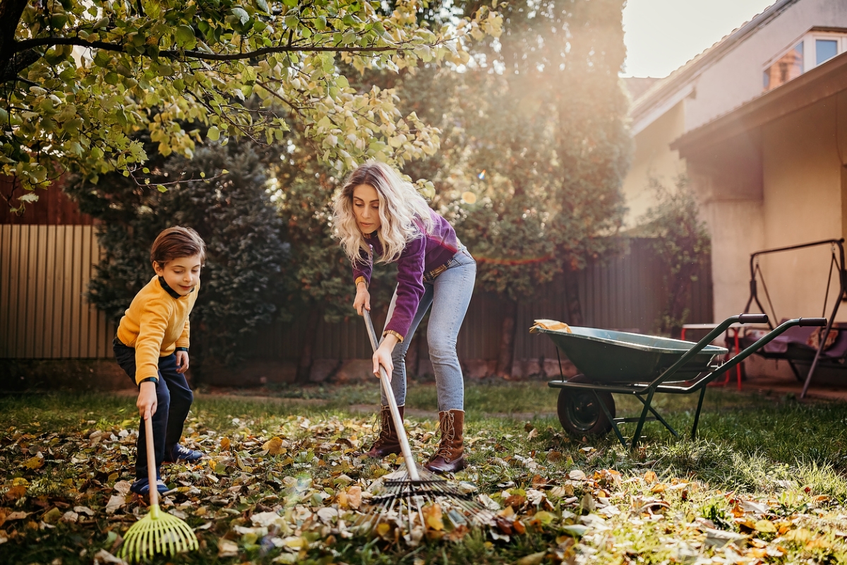 Mère et fils ratissant les feuilles