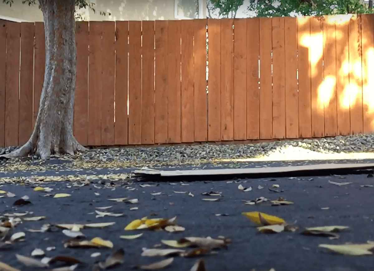 15 Tricks to Know If You Hate Fall Yard Work