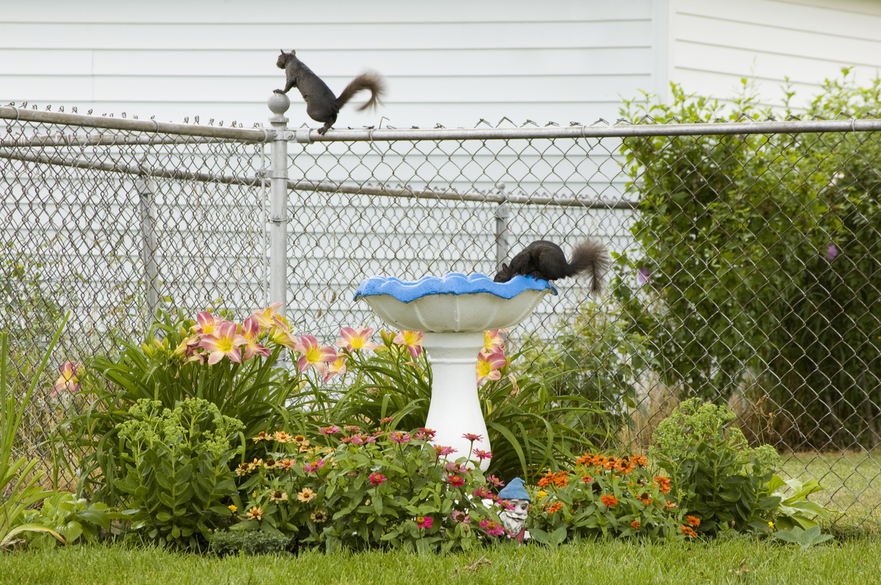 corner garden ideas