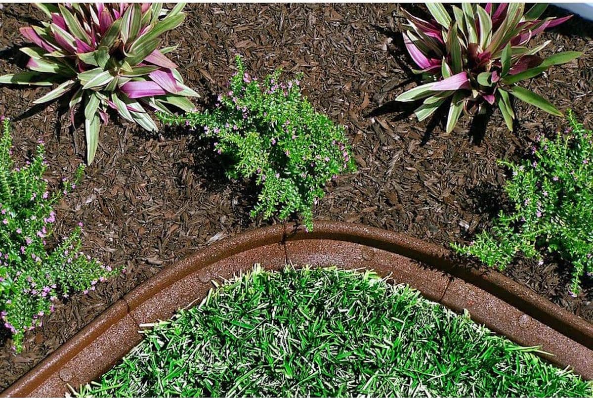 A flower bed with rubber pavement surrounding the mulch.