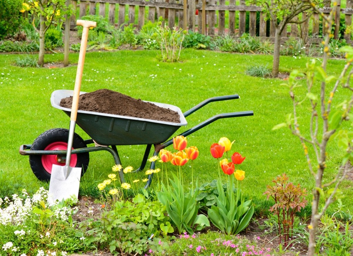 9 Mistakes You’re Making That Are Damaging Your Soil