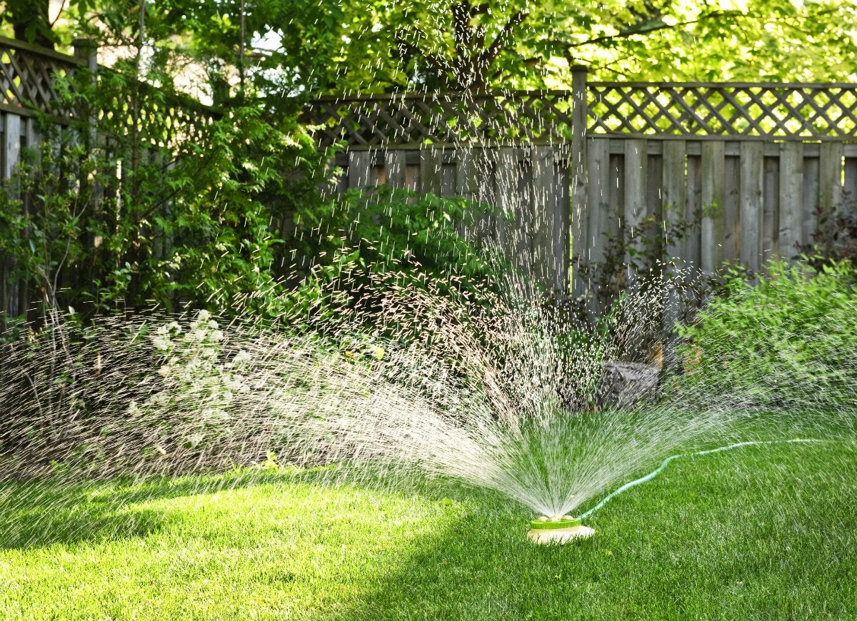 11 Ways You’re Accidentally Ruining Your Lawn