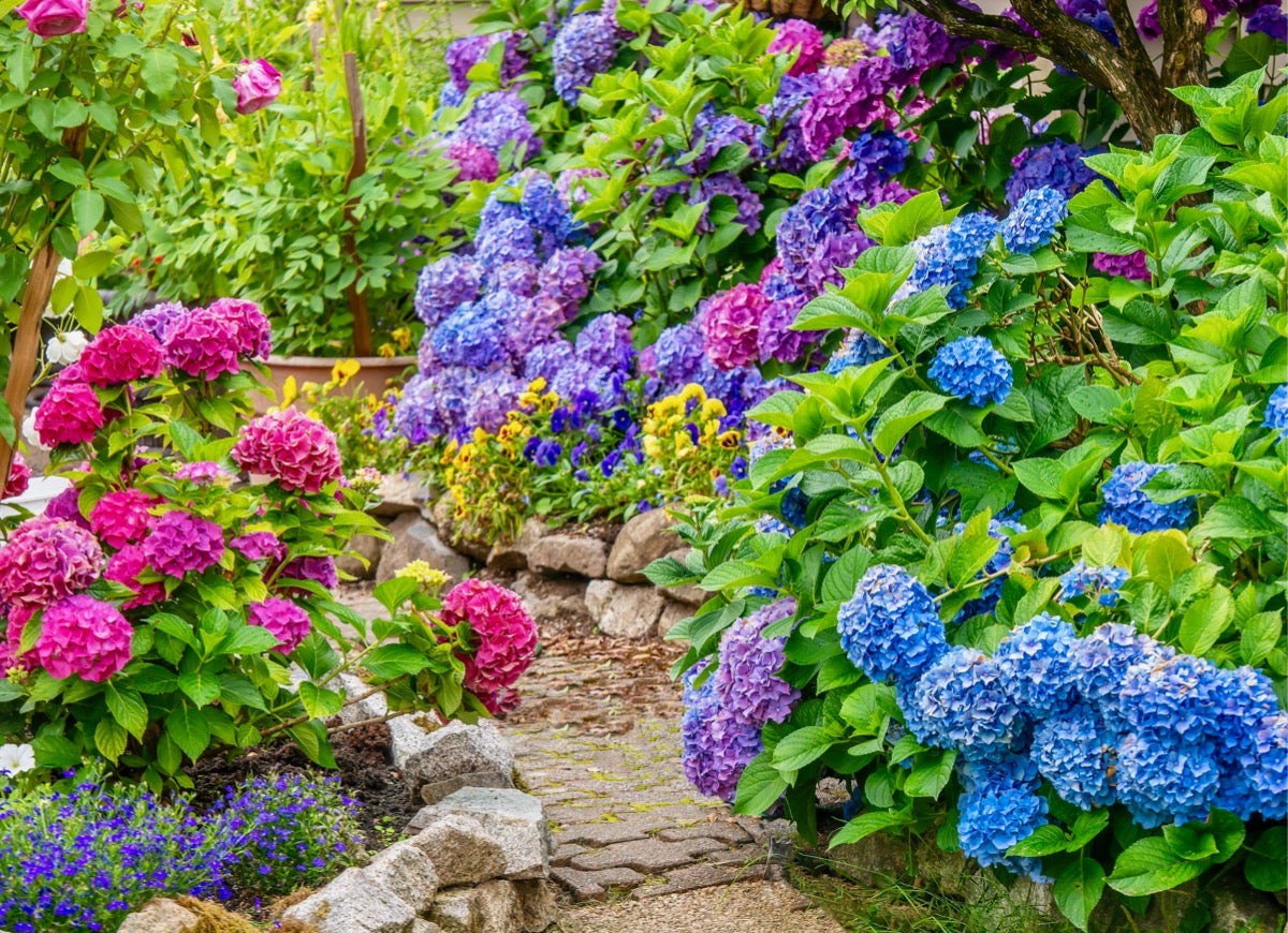 8 Themed Gardens to Inspire You This Summer