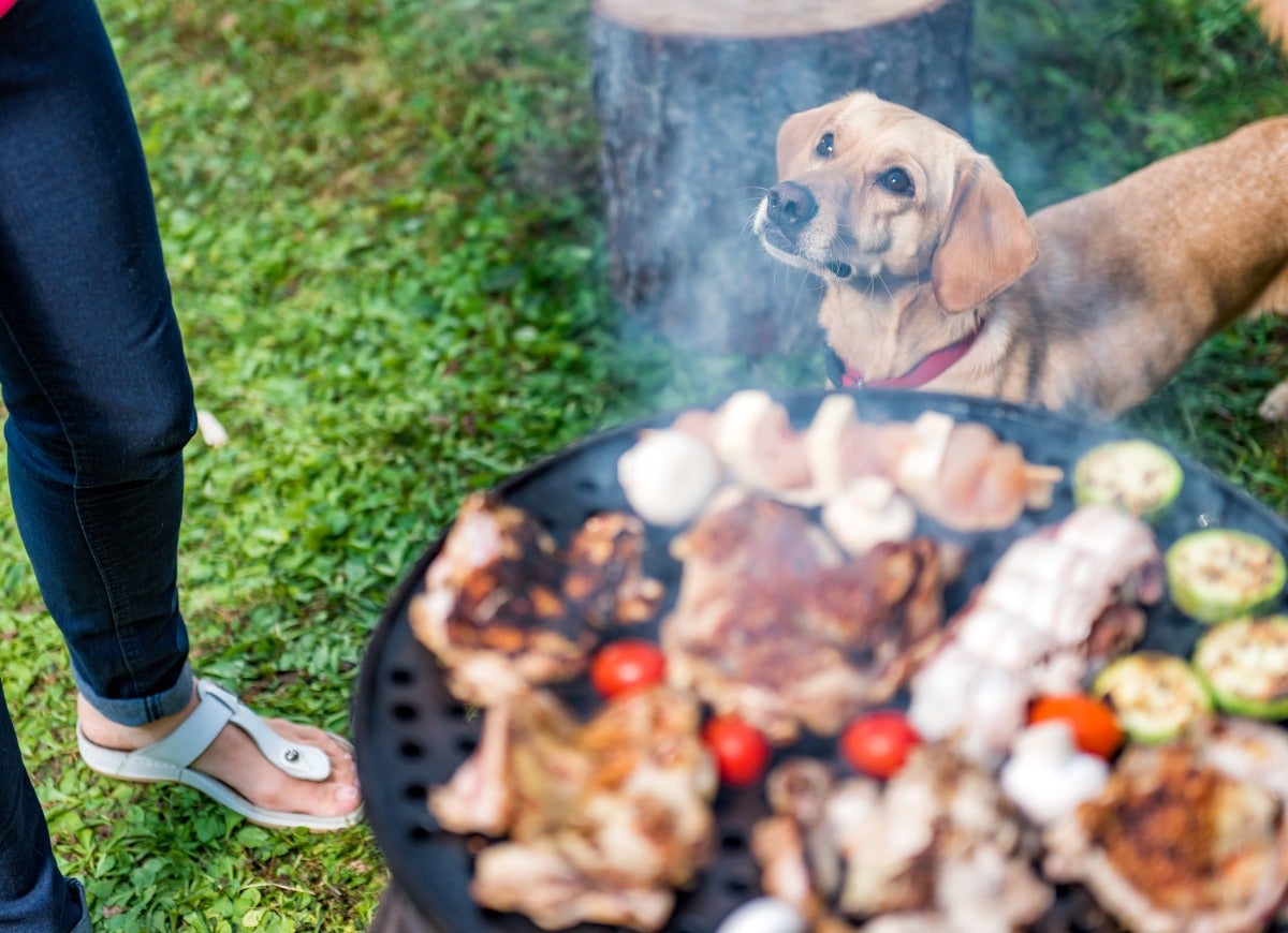 10 Important Grilling Safety Tips to Know for Barbecue Season