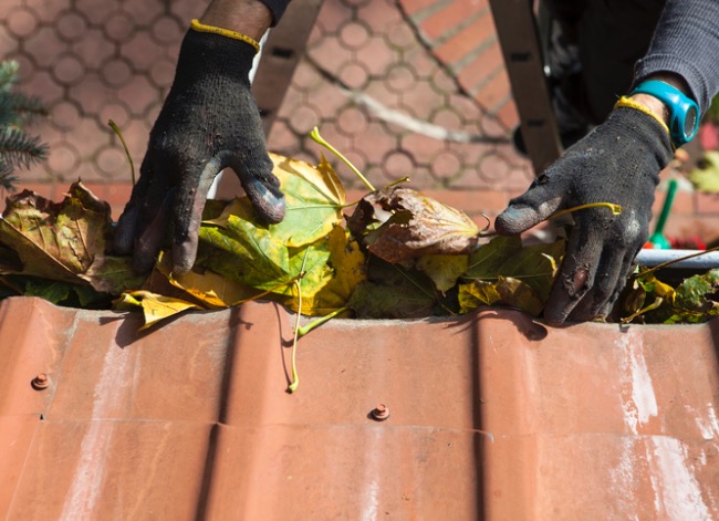 gutter cleaning