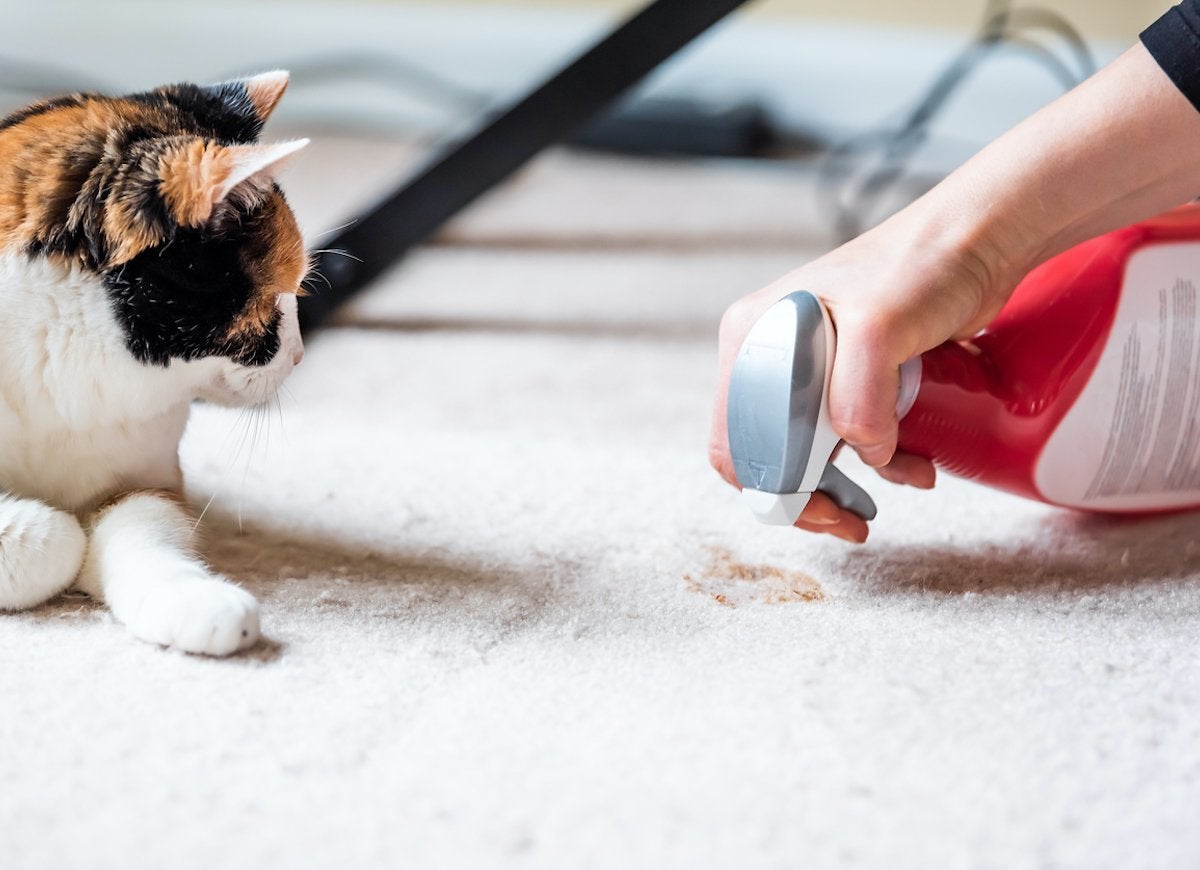 15 Cleaners That Can Do the Most Damage