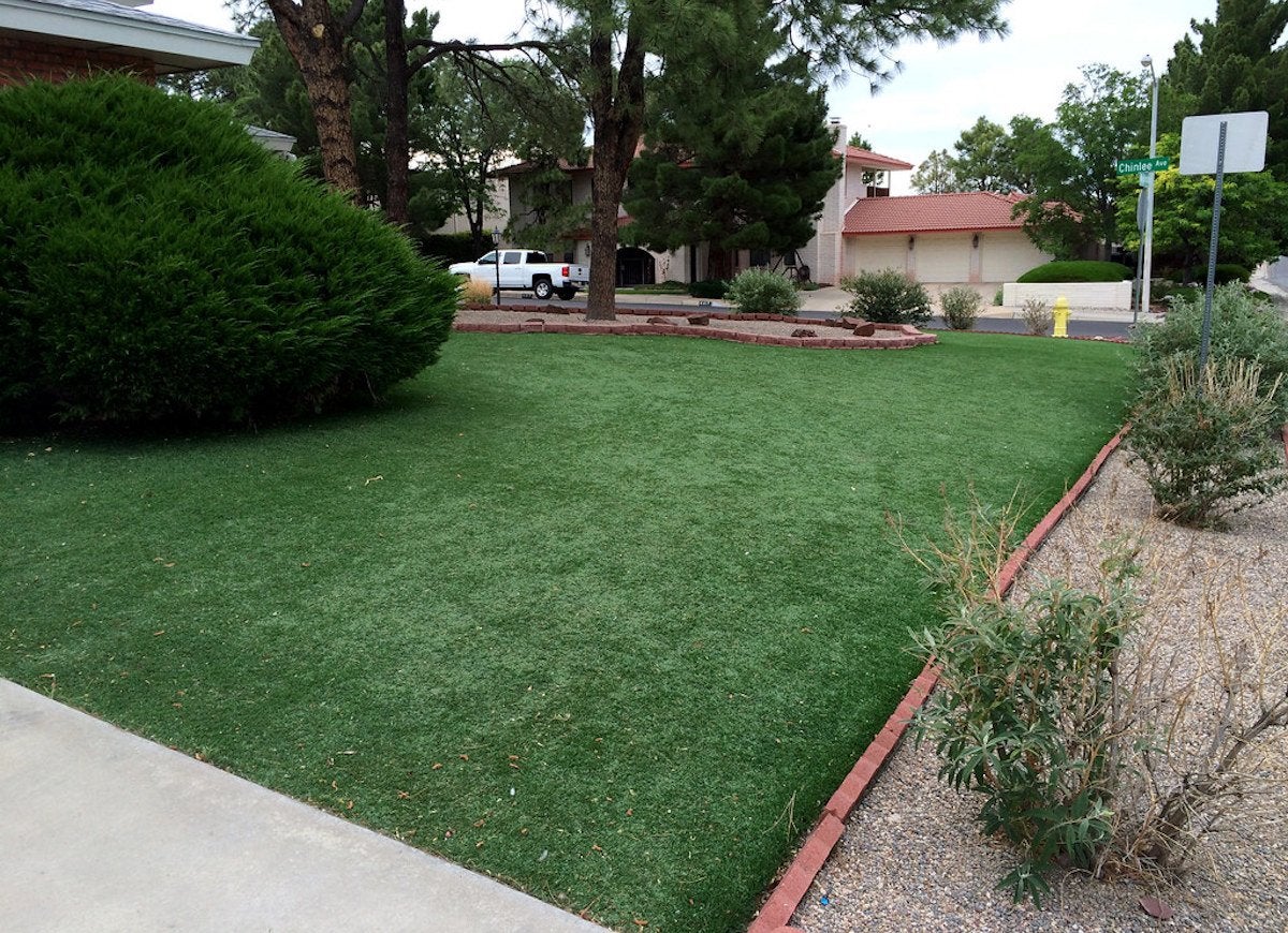 These 6 Companies Have Created the Ultimate Green Grass