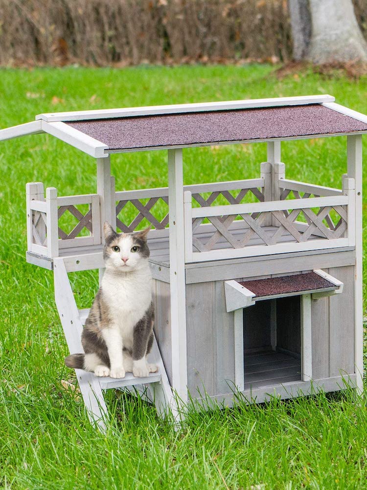 9 Catio Ideas Your Feline Friends will Love