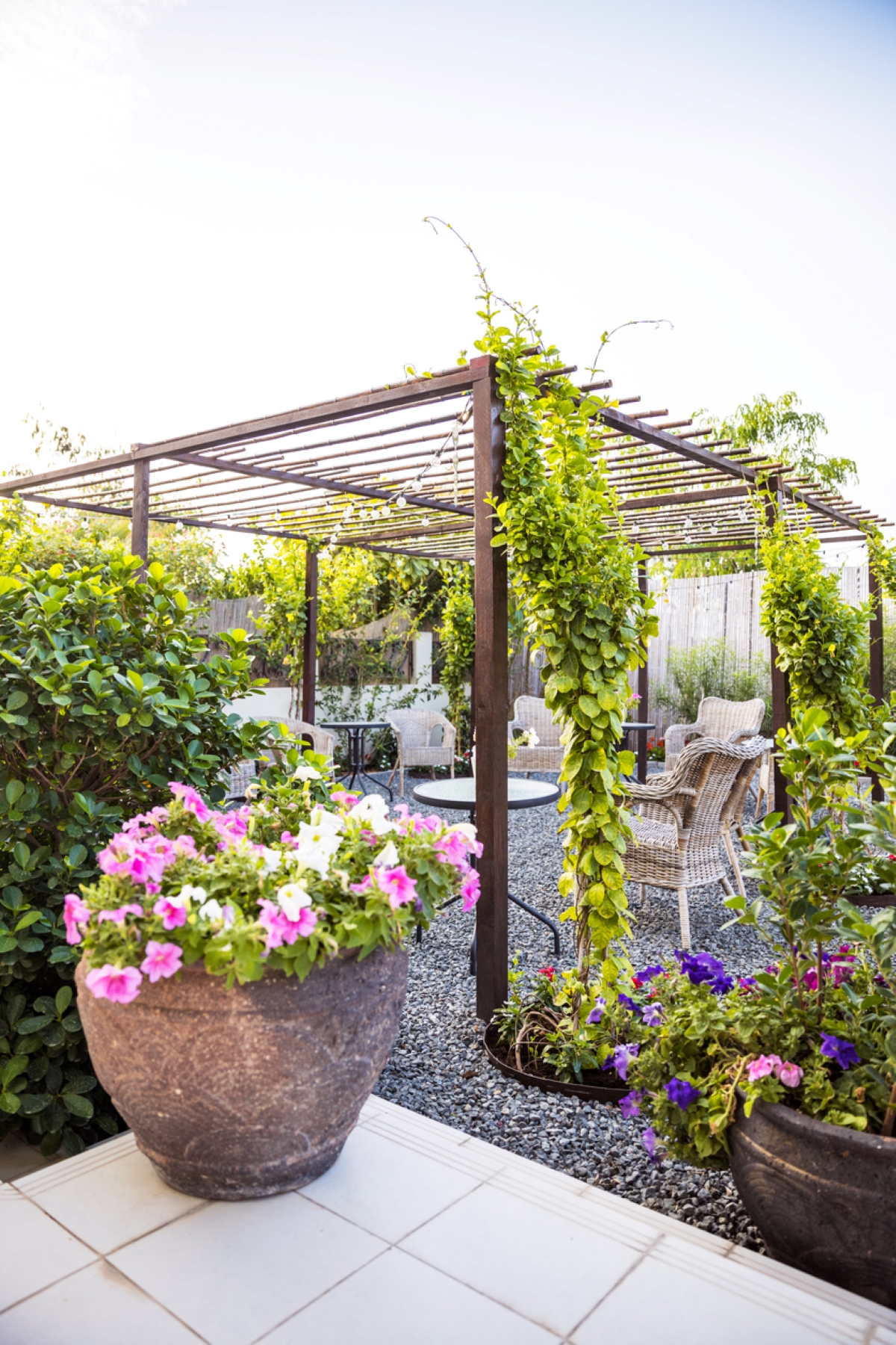 Backyard patio with gravel and plants