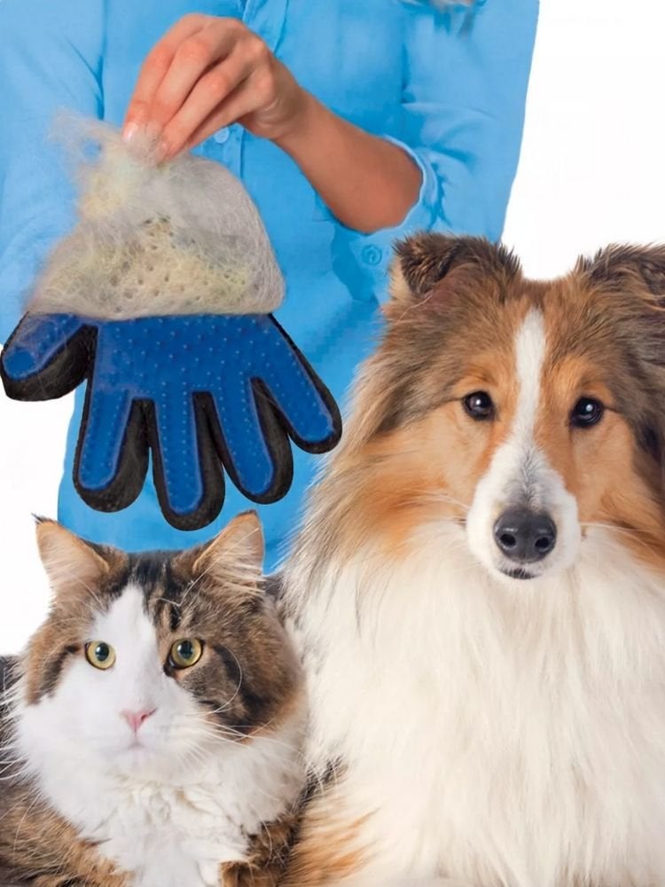 15 Things Every Pet Owner Needs for a Clean House