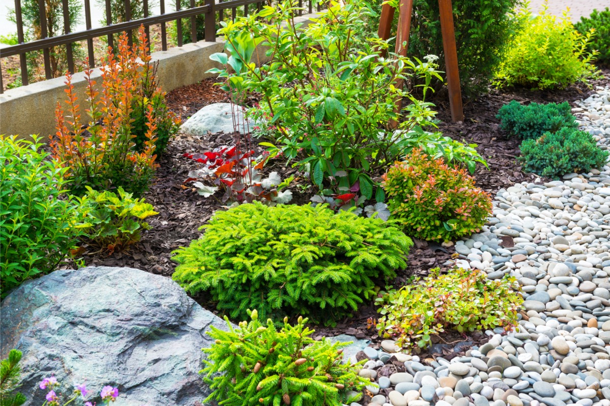 A stoney and natural flower bed. 