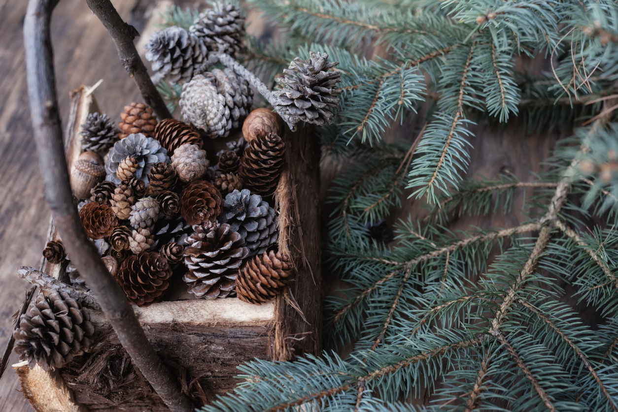 Basket with cones and fir branches. new year winter christmas atmosphere.