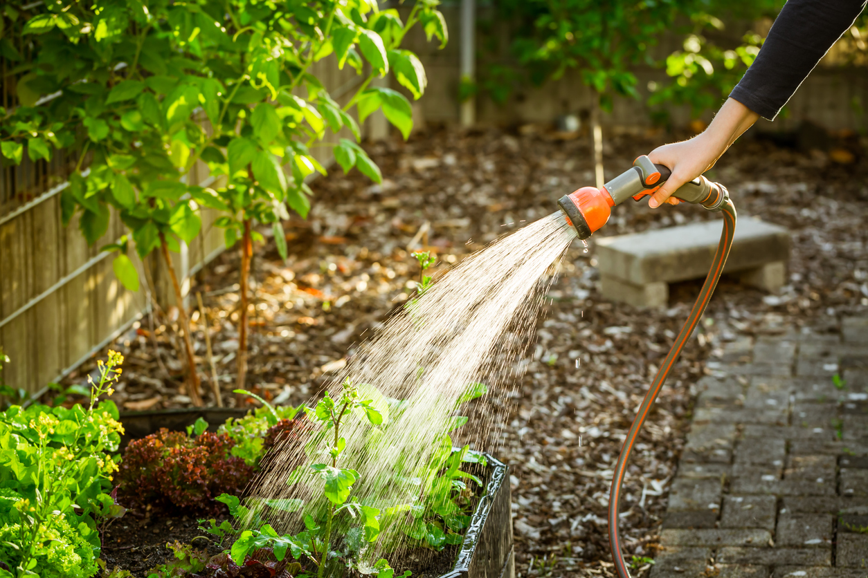 keeping garden happy