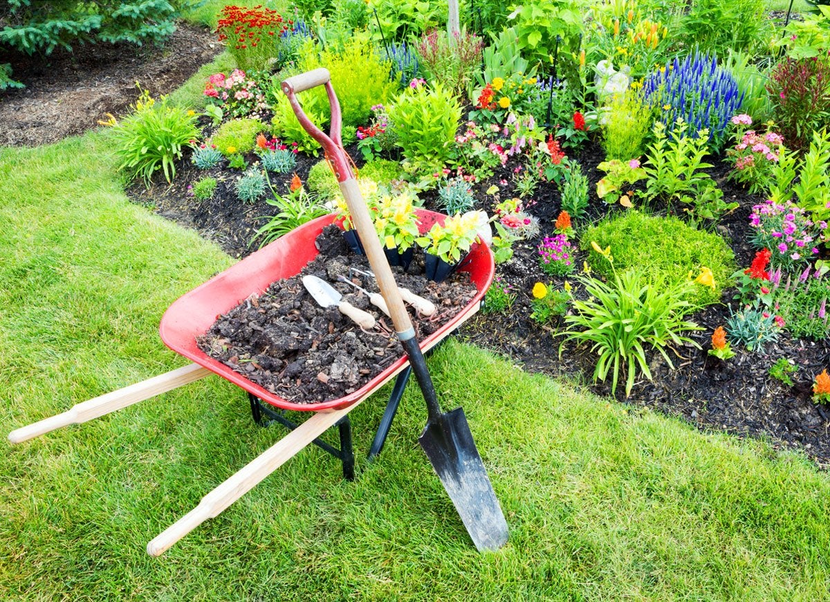 9 Clever Landscaping Hacks for Your Best-Ever Yard