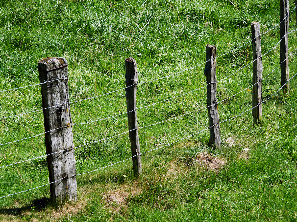 Une clôture en fil de fer barbelé se trouve dans l'herbe d'une cour ou d'un champ.