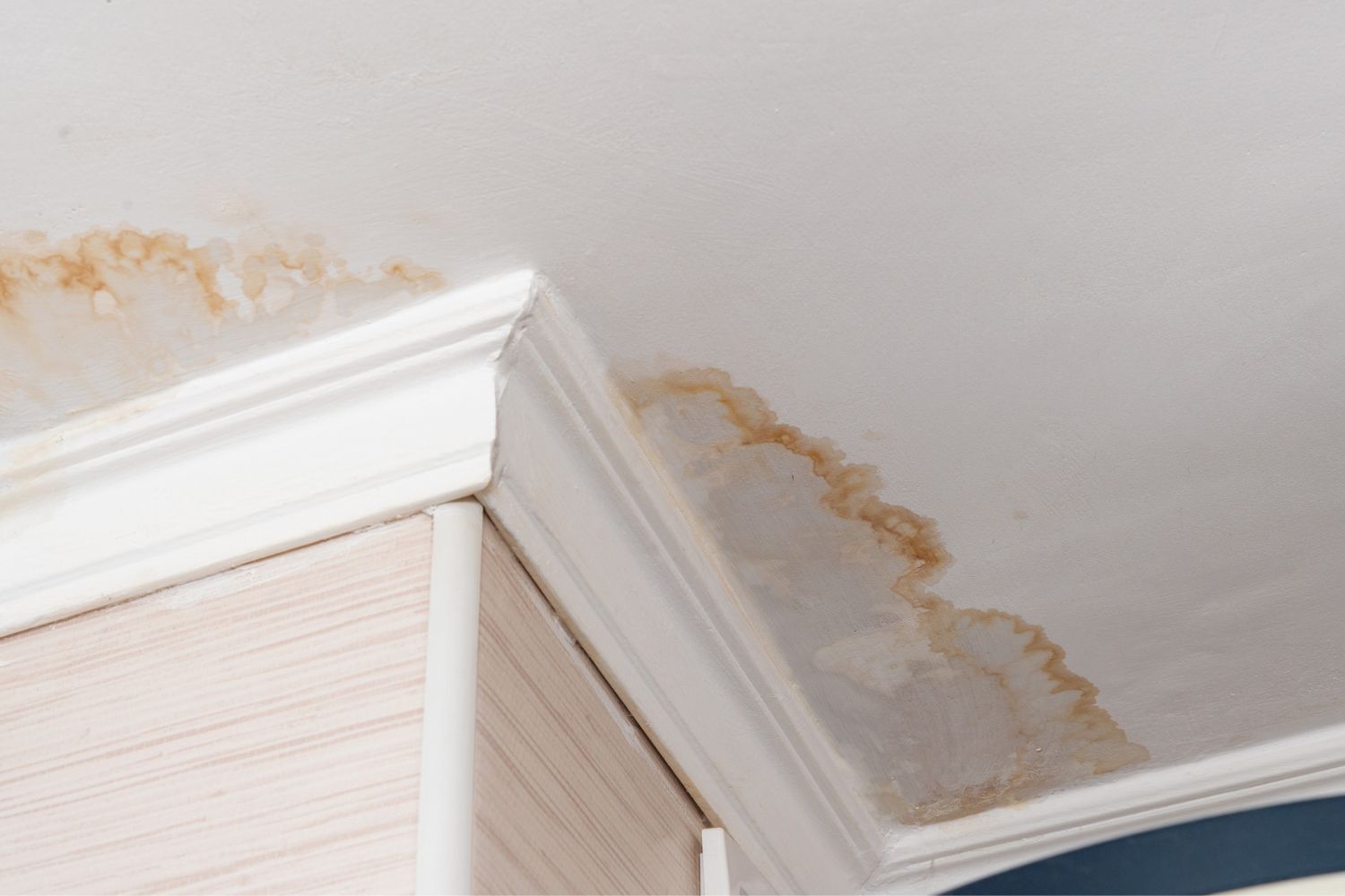 Water Damage vs. Mold