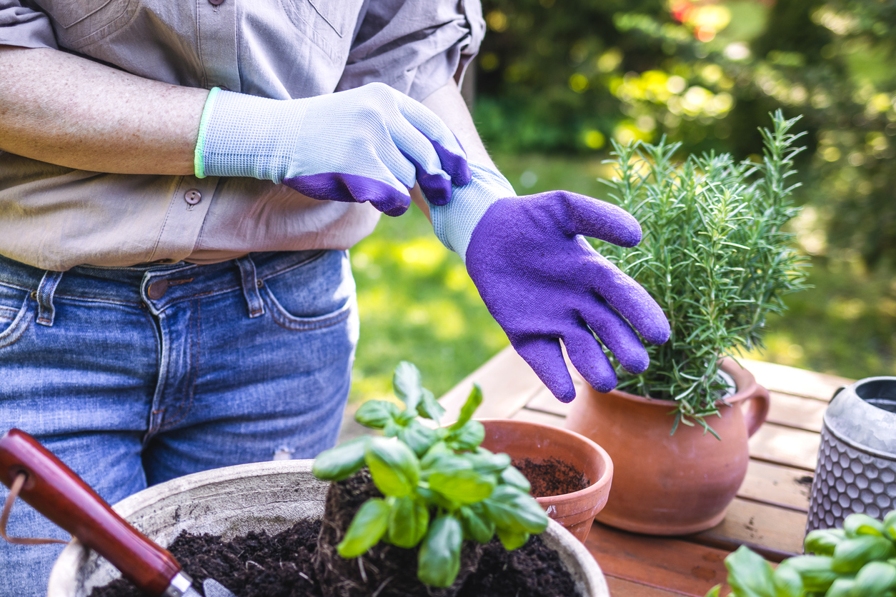 iStock-1317766911 work gloves woman putting on work gloves to garden