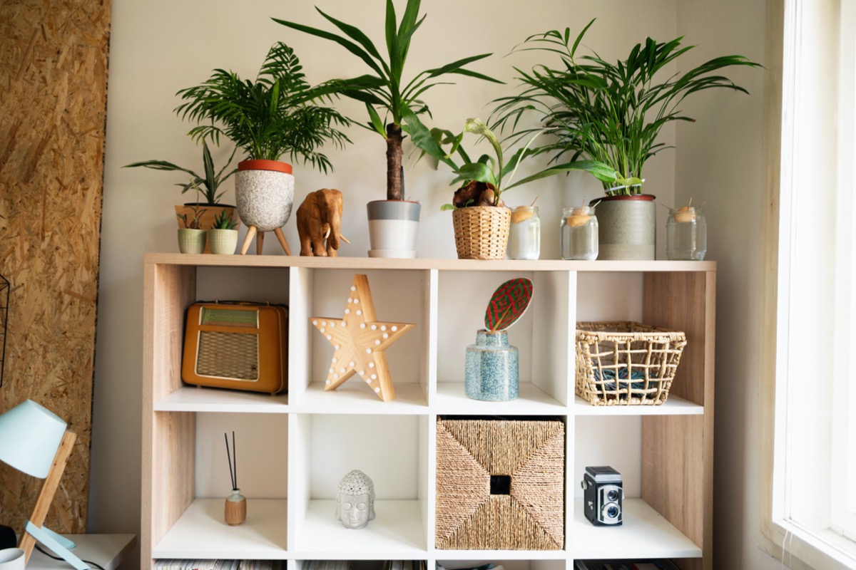 how to decorate shelves