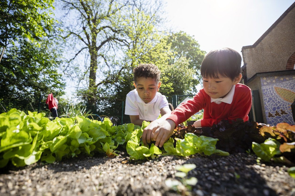 14 Ways to Childproof Your Garden