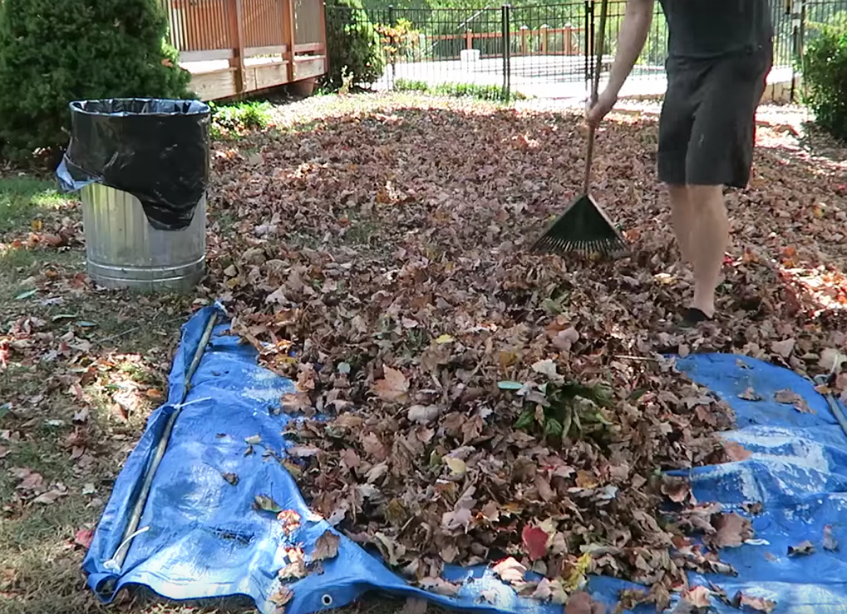 15 Tricks to Know If You Hate Fall Yard Work