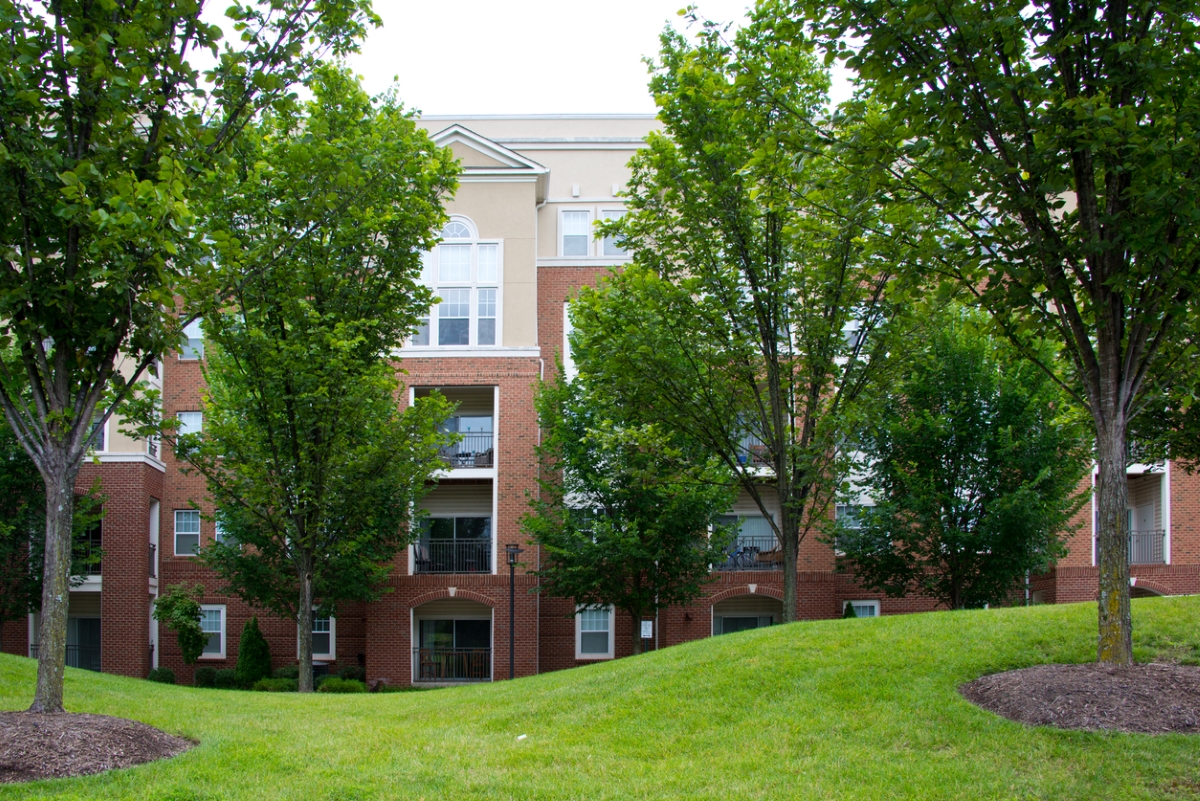 what is tree equity - view of trees planted in front of apartment building