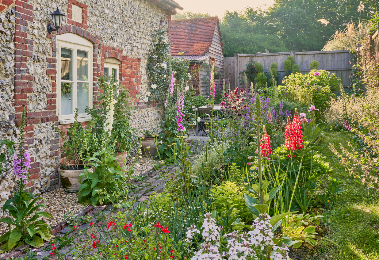 English Country Garden with cottage garden plants in summer and a flint wall