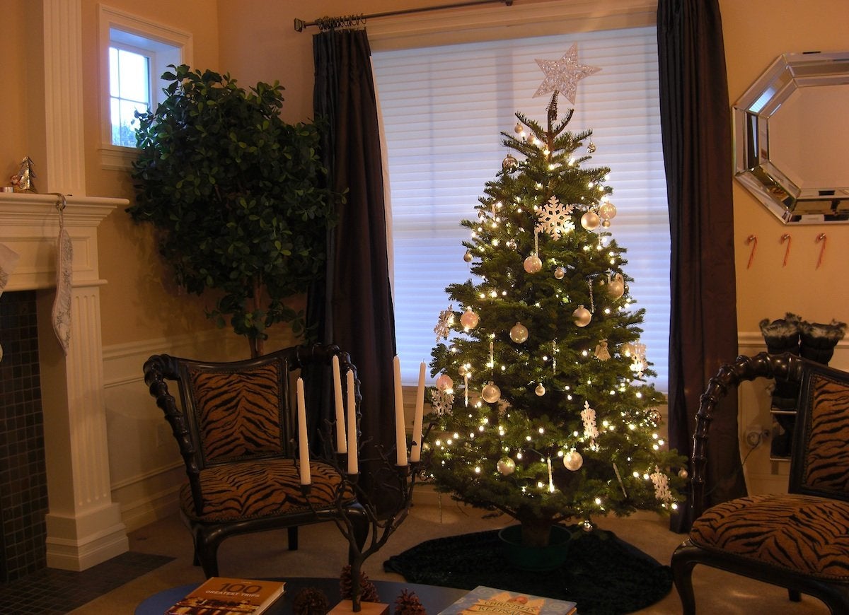 Christmas Miracle: 8 Simple Fixes for All Your Tree Troubles