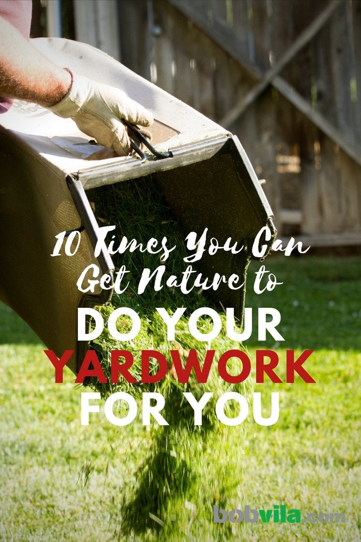 10 Times You Can Get Nature to Do Your Yard Work for You