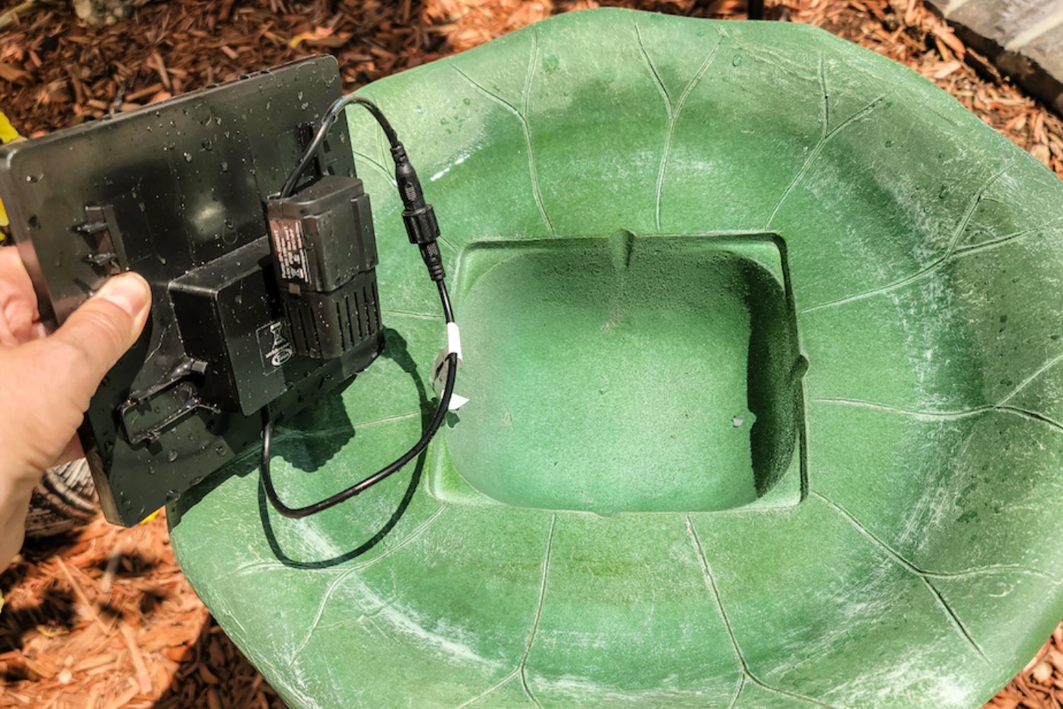 Person placing solar fountain in bird bath