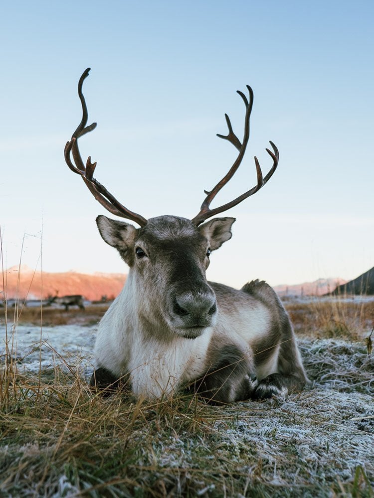 These 10 Towns Celebrate Christmas Year-Round