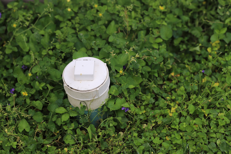 a white plastic sewer cleanout pipe in grassy yard