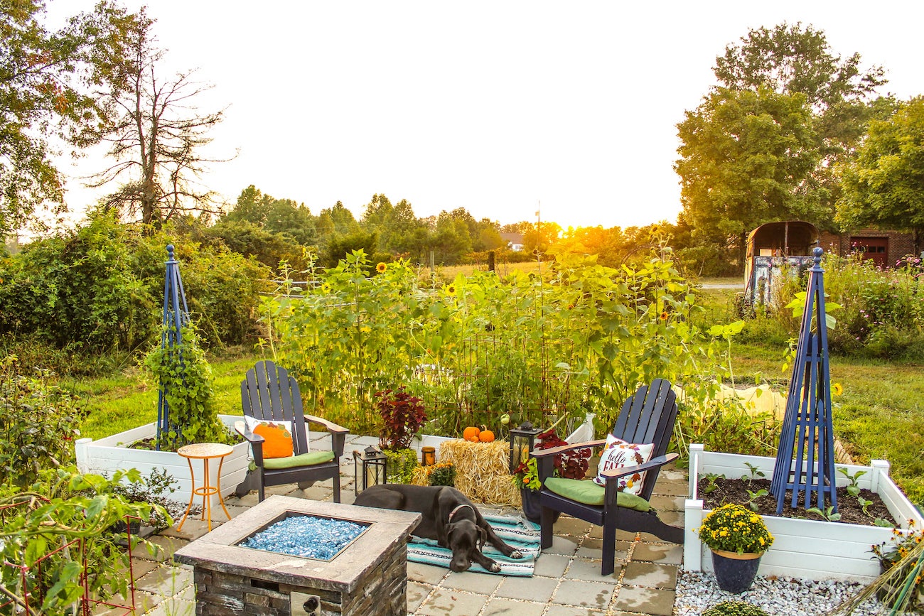 15 Affordable Landscaping Projects You Can DIY in a Day