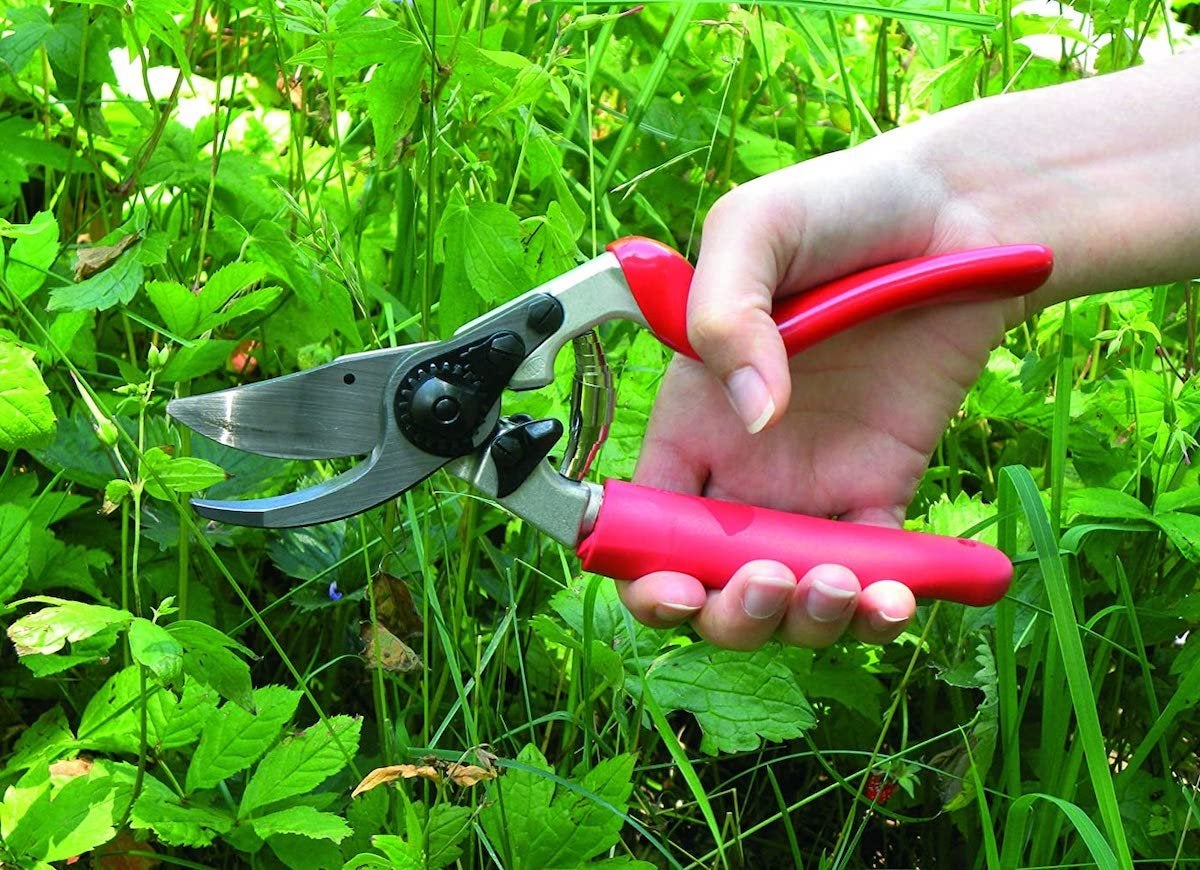 10 Ergonomic Tools that Make Gardening Nearly Painless