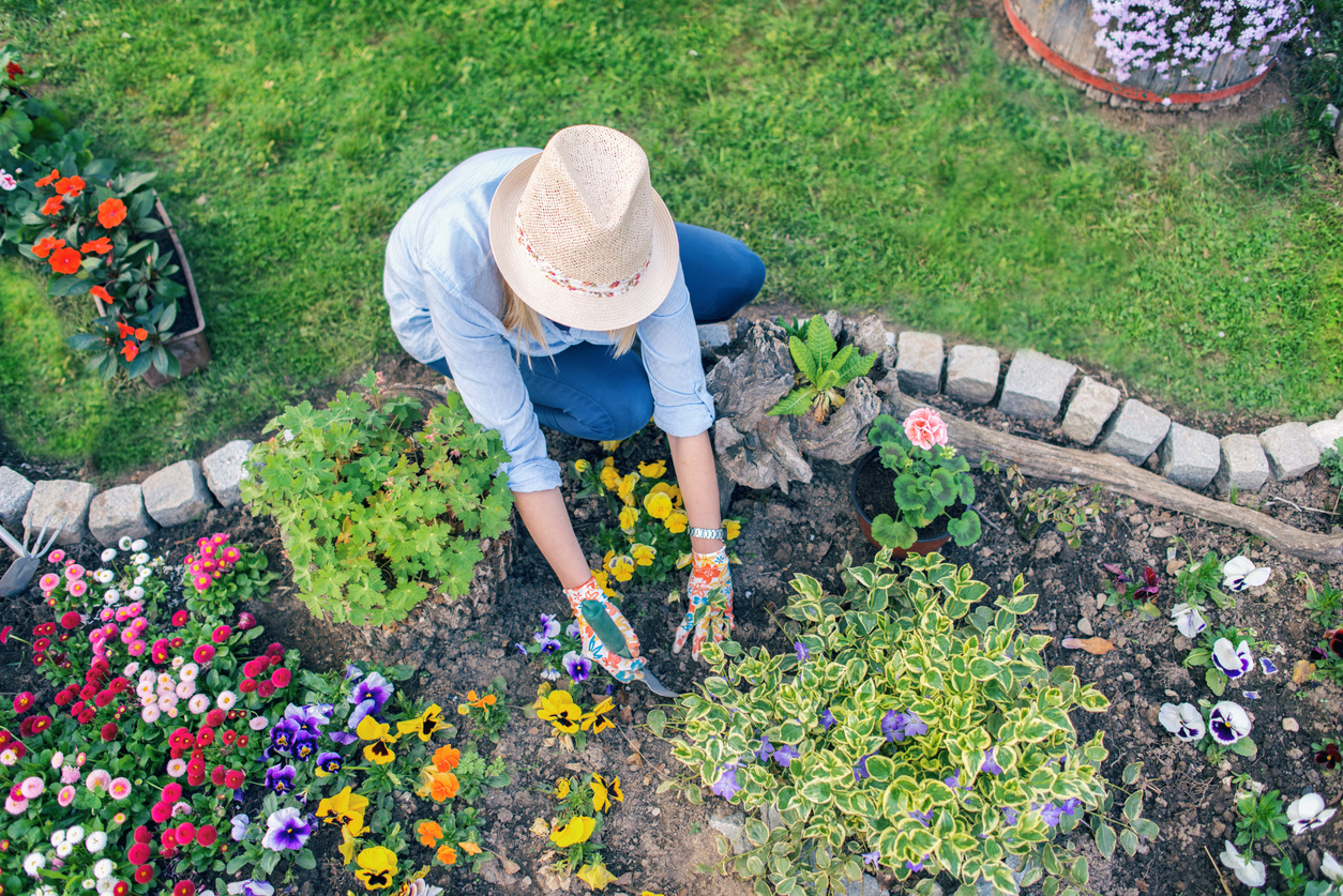 overhead view of woman planting flowers in a garden